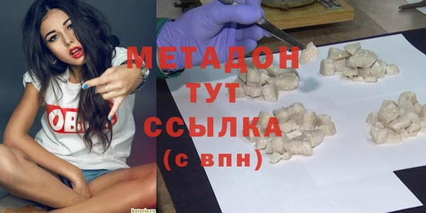 прущие грибы Новокубанск