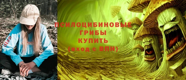 а пвп мука Новозыбков