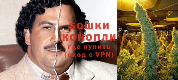 прущие грибы Новокубанск
