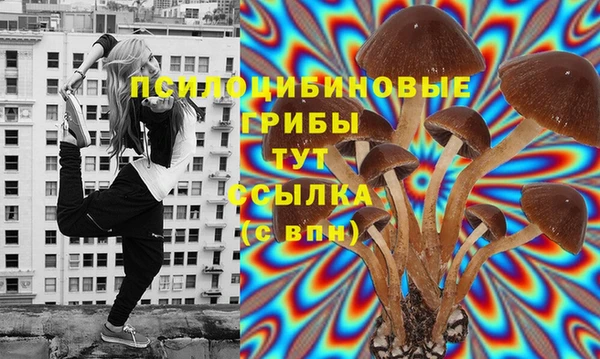 а пвп мука Новодвинск