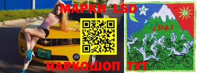 apvp Гатчина