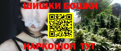apvp Гатчина