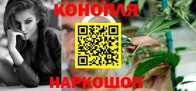 apvp Гатчина
