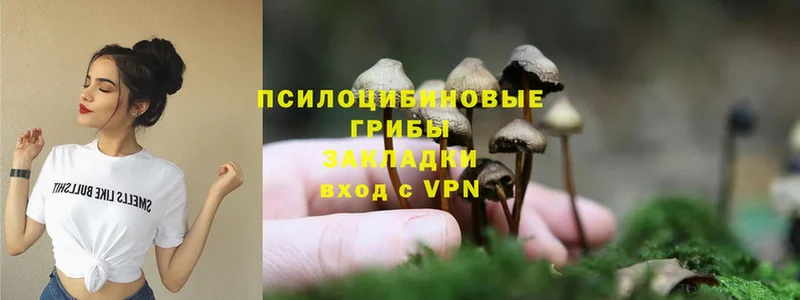 Галлюциногенные грибы Magic Shrooms  Кунгур 