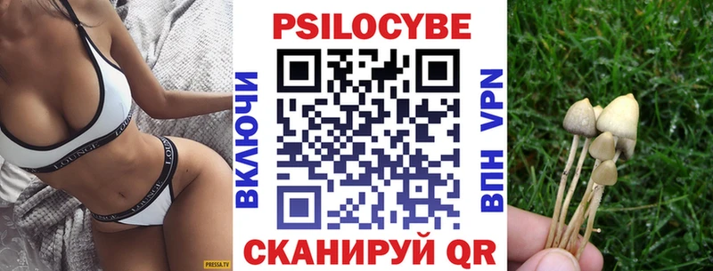 купить   мега сайт  Псилоцибиновые грибы Magic Shrooms  Кунгур 