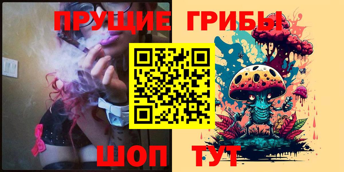 Галлюциногенные грибы GOLDEN TEACHER  Кунгур  Псилоцибиновые грибы Psilocybe 