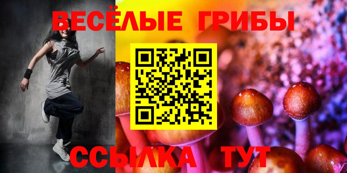Кунгур  Галлюциногенные грибы Cubensis  Вход с VPN 