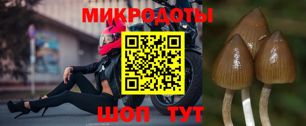 Галлюциногенные грибы GOLDEN TEACHER Кунгур