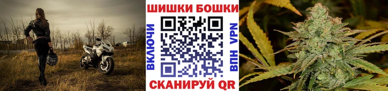 Канабис OG Kush Кунгур